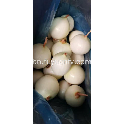 ইজরায়েল থেকে peeled পেঁয়াজ